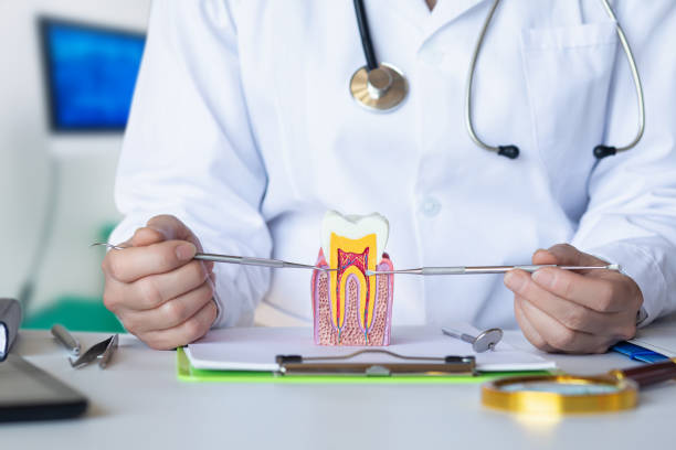Best Urgent Tooth Repair  in Cloverport, KY